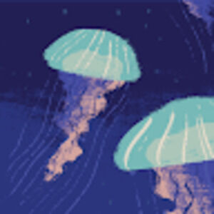 Meet your Posher, Daisy